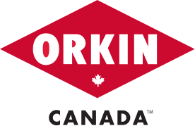 Orkin Canada logo